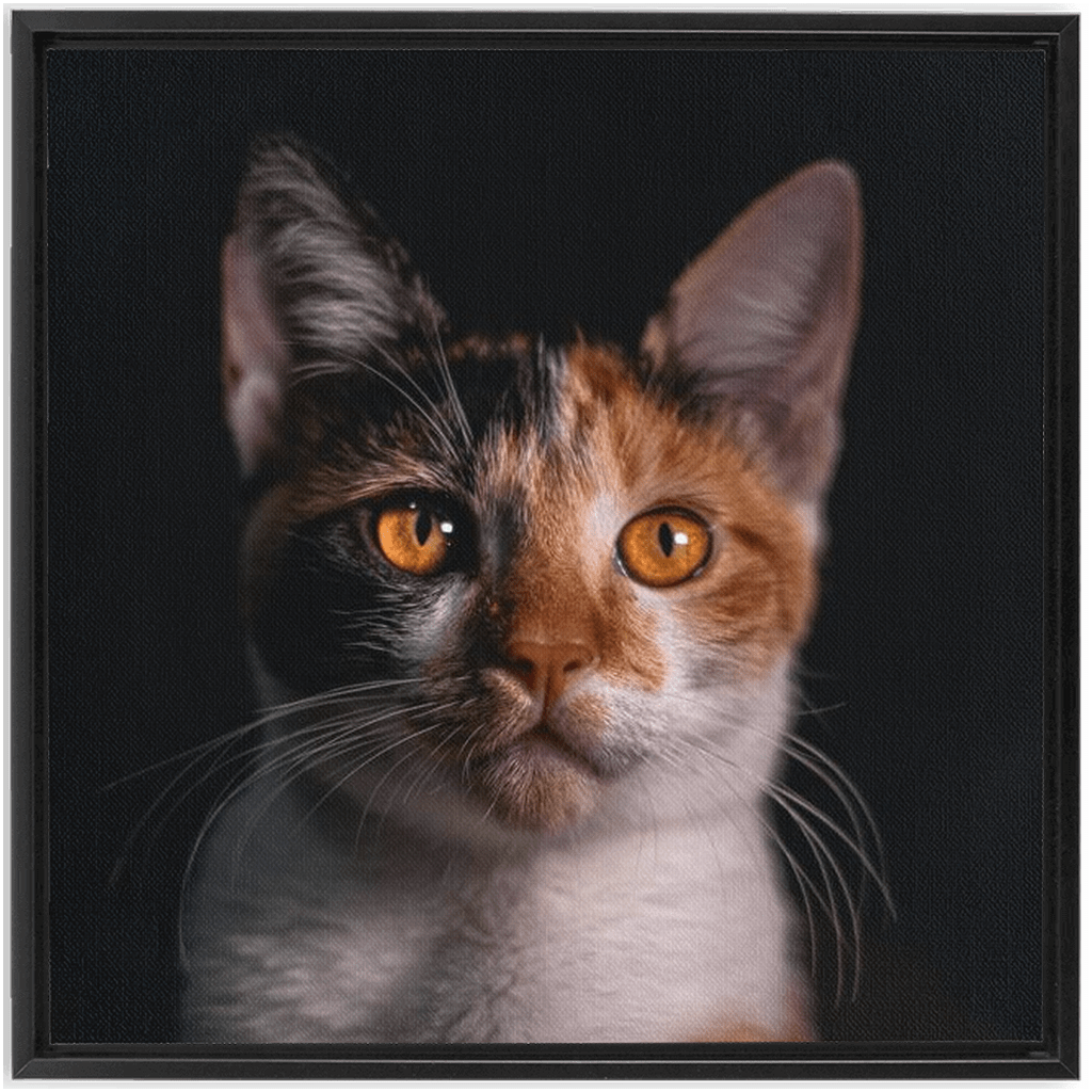 Framed Canvas Wraps - SixCat