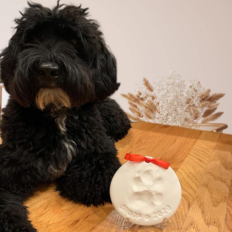 Pet Paw Print Commemorative Inkpad - SixCat