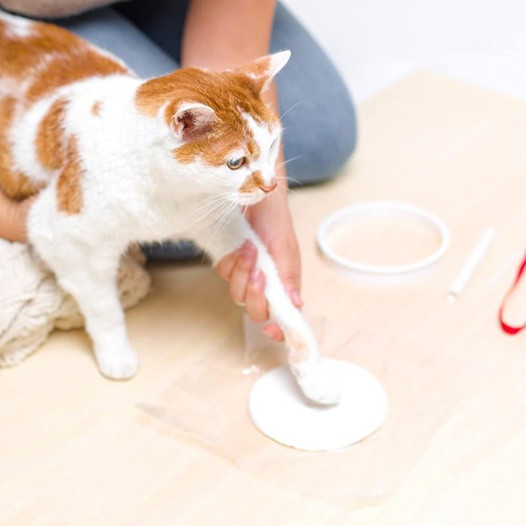 Pet Paw Print Commemorative Inkpad - SixCat