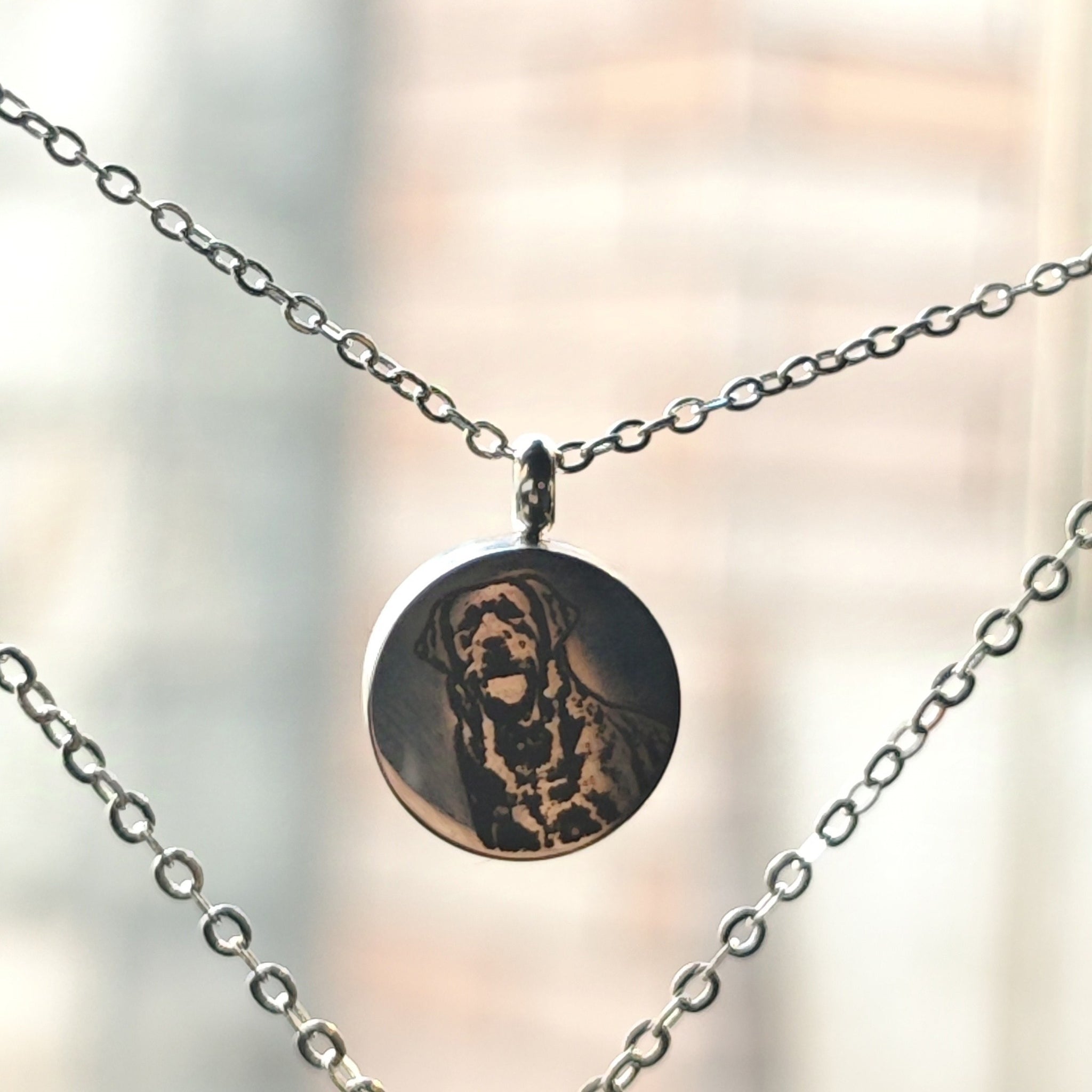 Pet Hair Memorial Pendant - SixCat