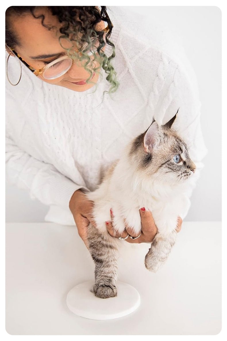 Pet Paw Print Commemorative Inkpad - SixCat