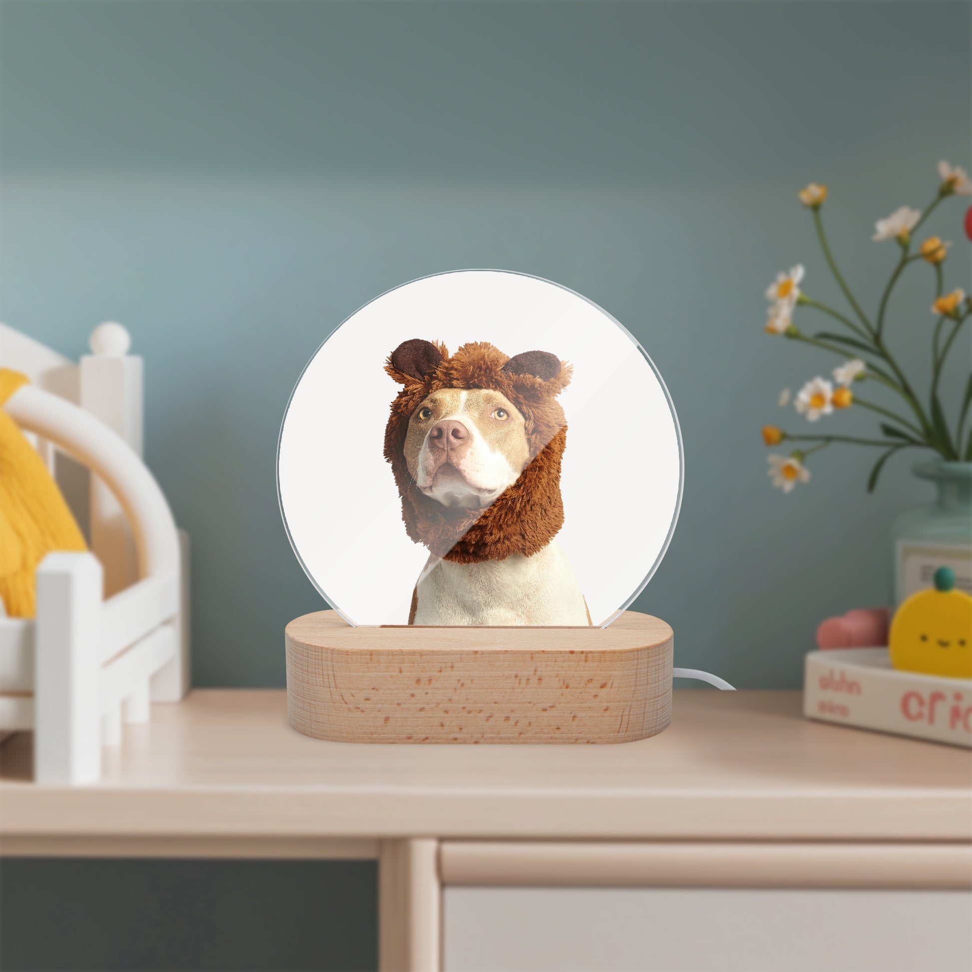 Round Acrylic Ornament - Luminous Base - SixCat