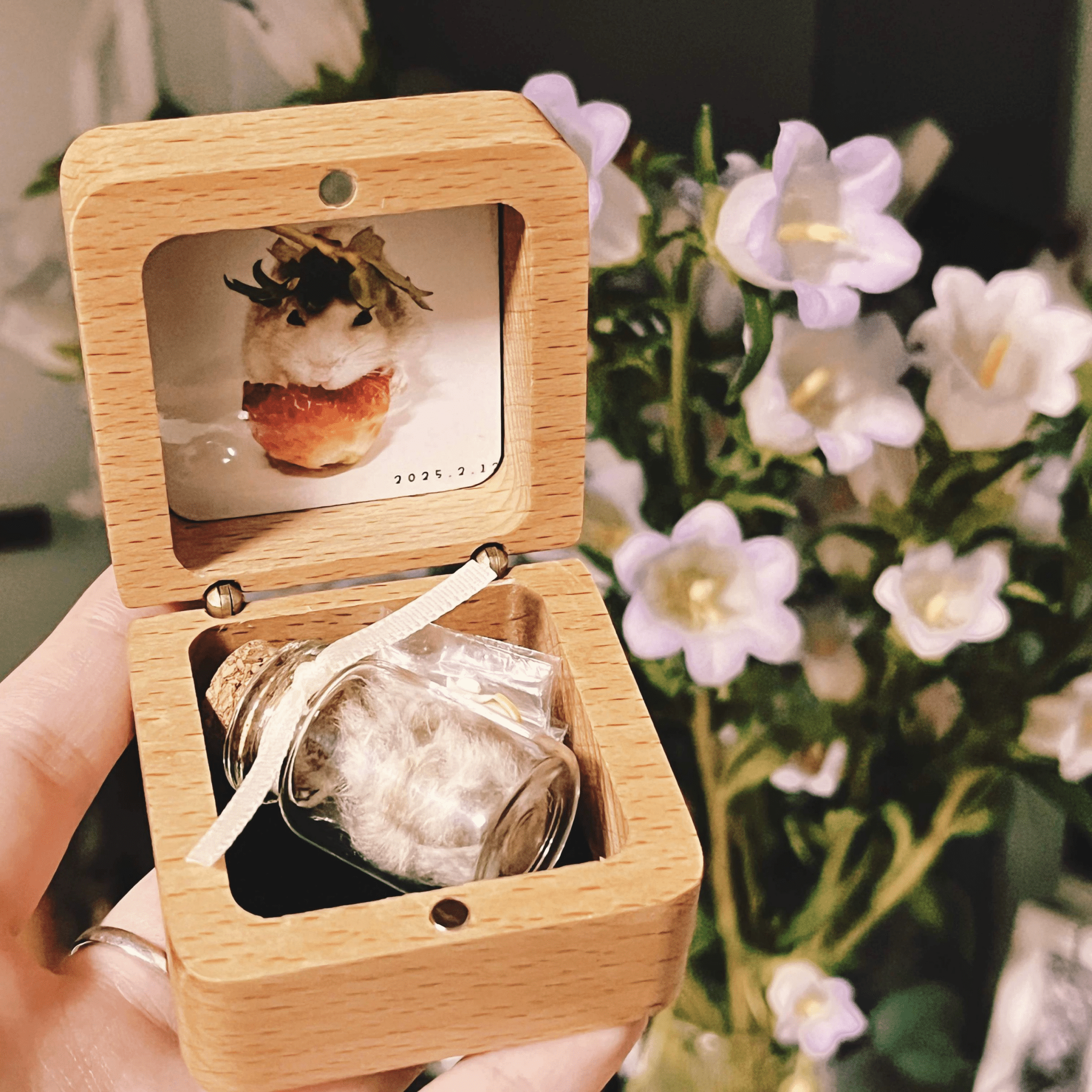 Pet Hair Memorial Box - SixCat