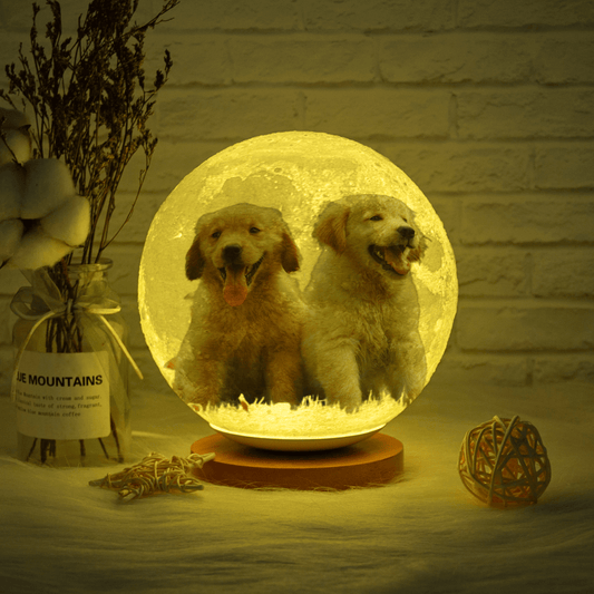 Custom 3D printed moon lamp with dog photo texture