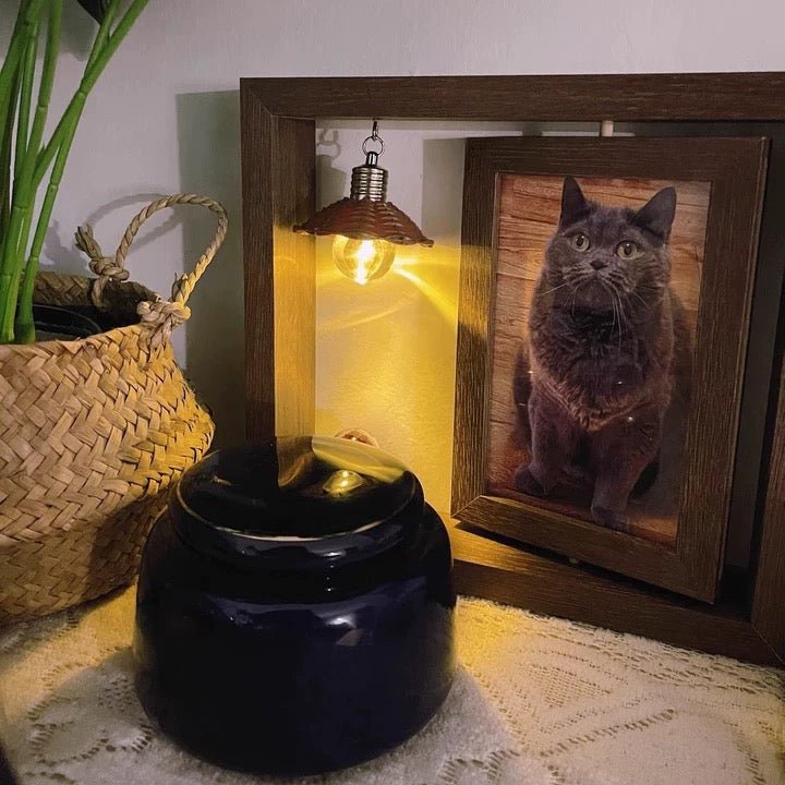 Pet Memorial Frame - SixCat