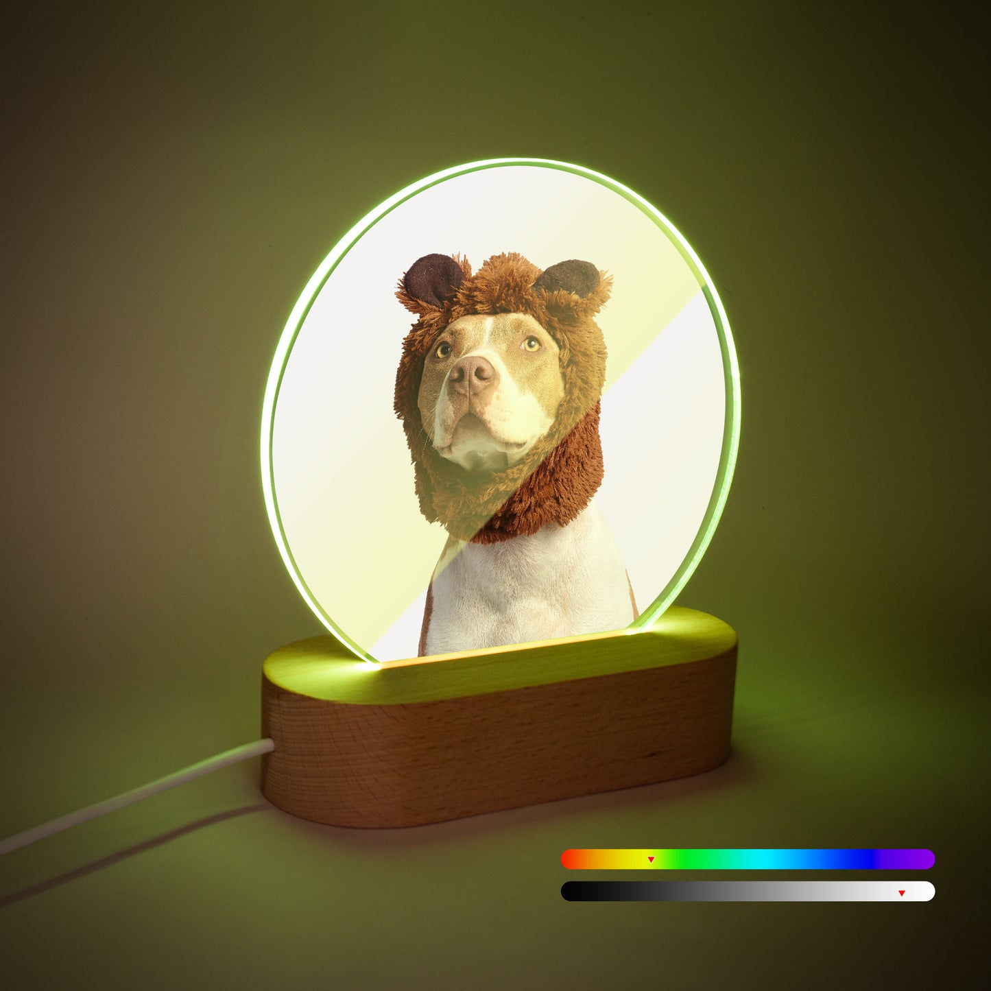 Glowing acrylic keepsake with pet photo