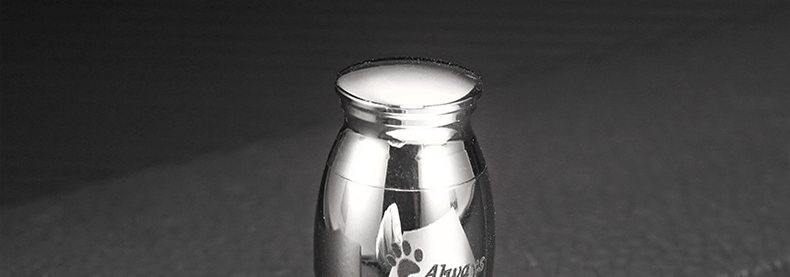 Pet Fur Keepsake Jar - SixCat