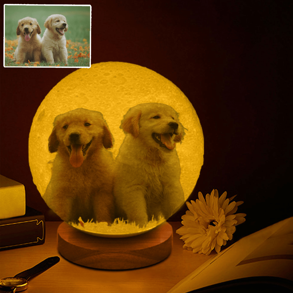 Personalized pet memorial moon lamp night light