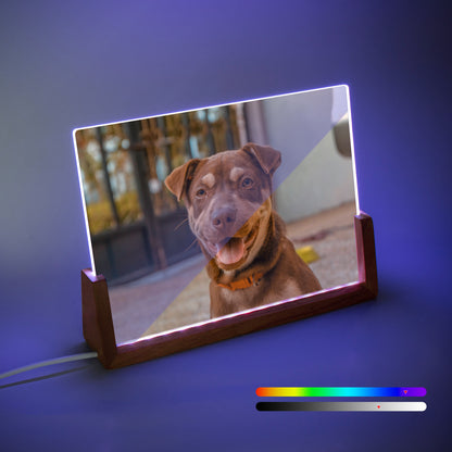 Personalized glowing photo frame for pet memorial