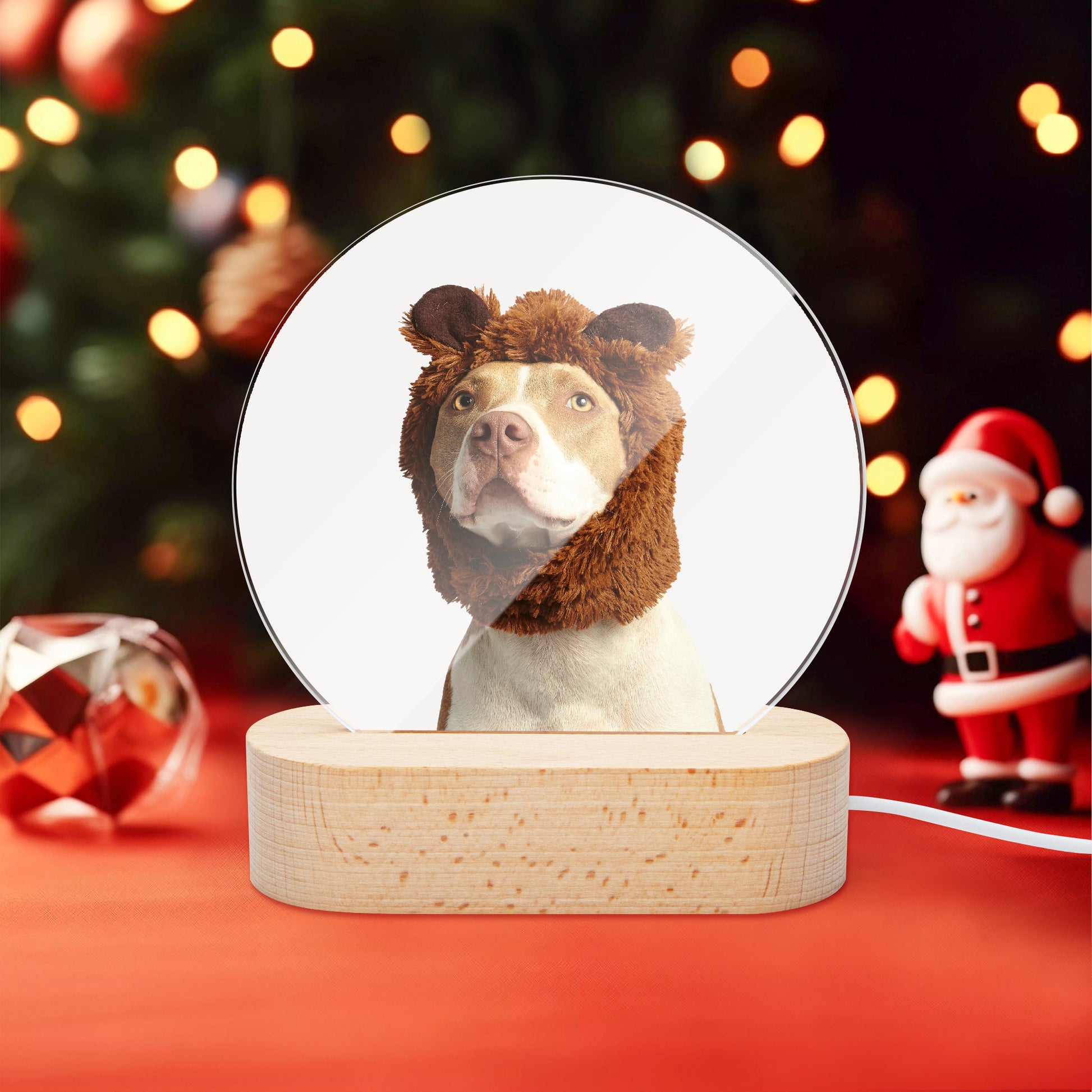 Round photo ornament on light up stand