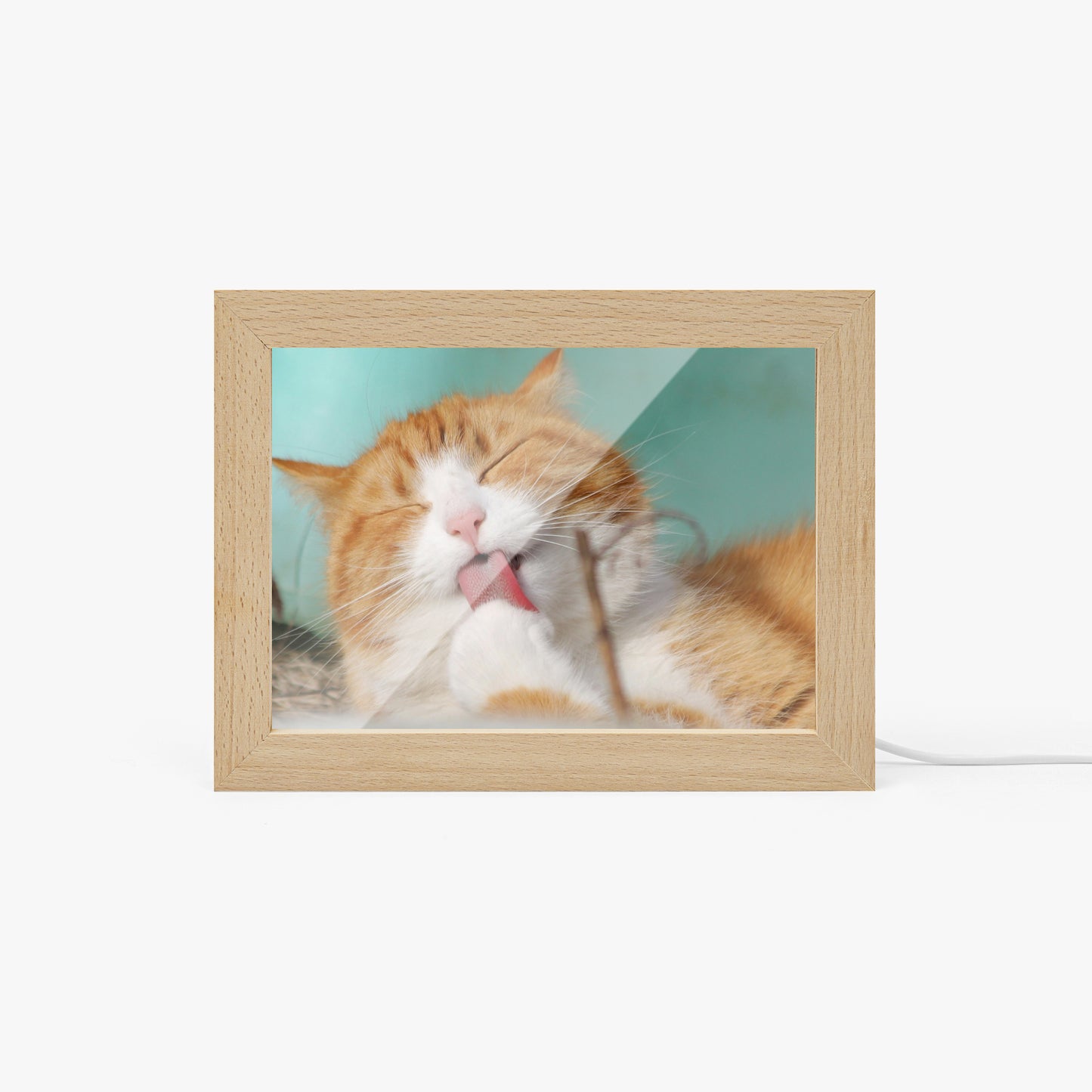 Wooden Framed Acrylic Photo Ornament - Personalized Pet Photo Keepsake - SixCat