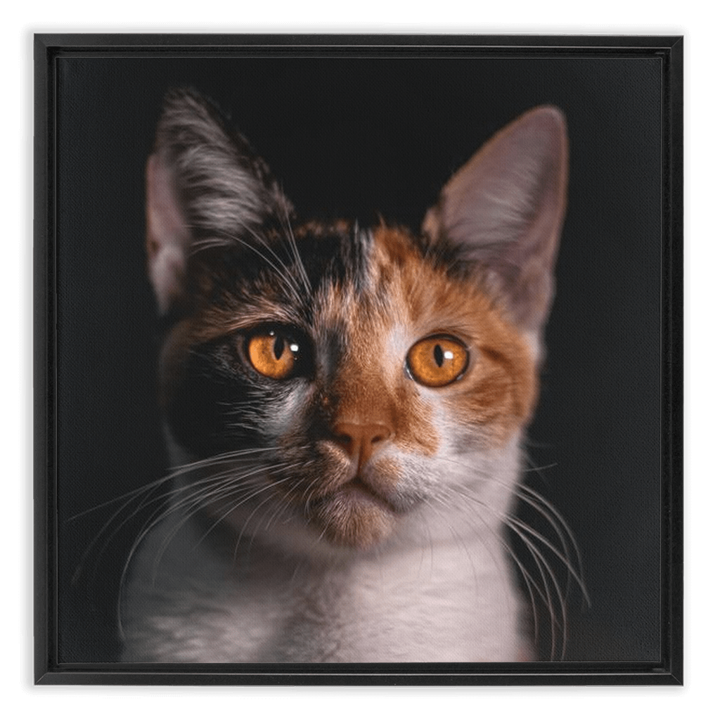 Framed Canvas Wraps - SixCat