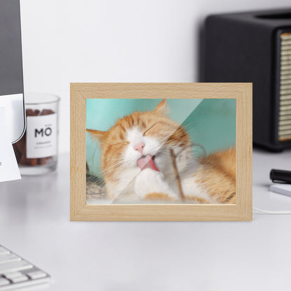 Wooden Framed Acrylic Photo Ornament - Personalized Pet Photo Keepsake - SixCat