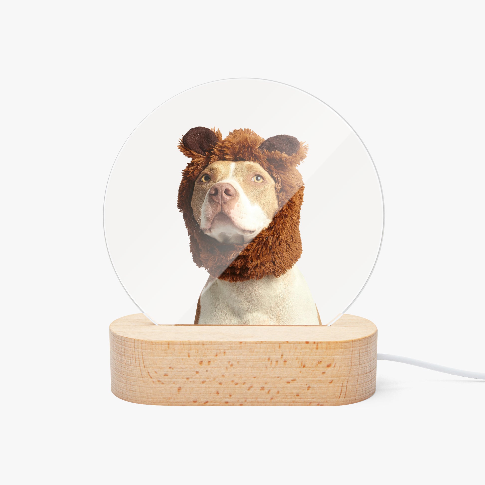 Custom desk ornament with LED base