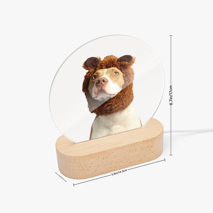 Round Acrylic Ornament - Luminous Base - SixCat