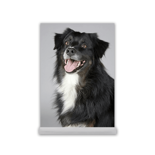 Acrylic Desk Prints - SixCat