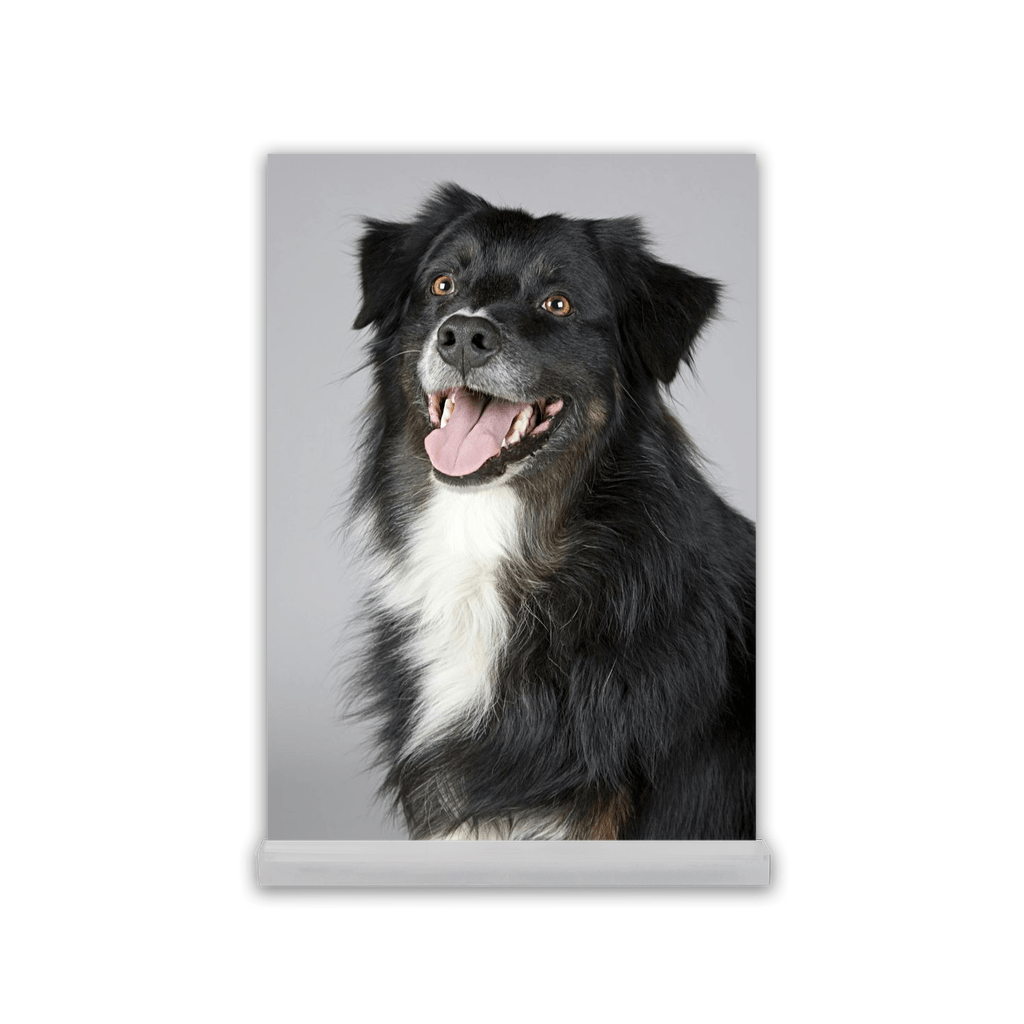 Acrylic Desk Prints - SixCat