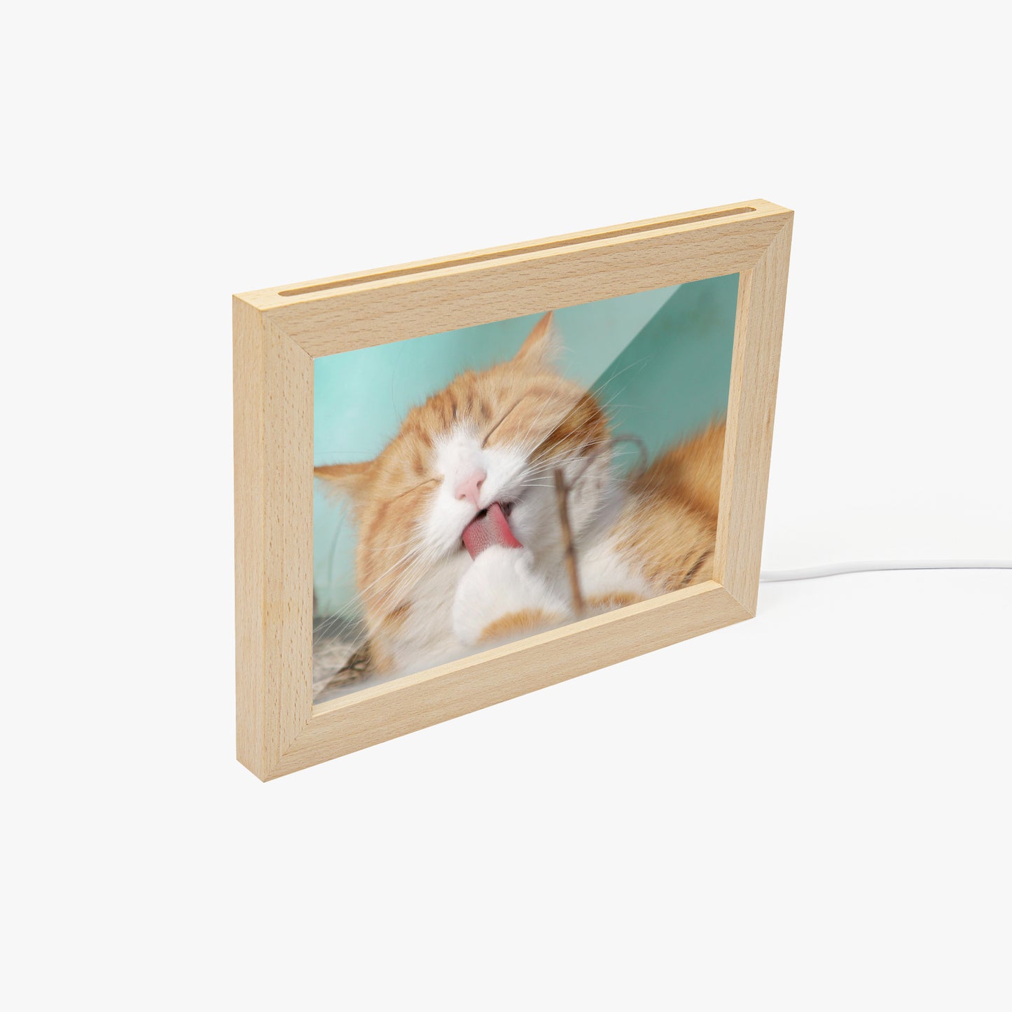Modern wood and glass style pet picture
