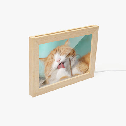 Modern wood and glass style pet picture