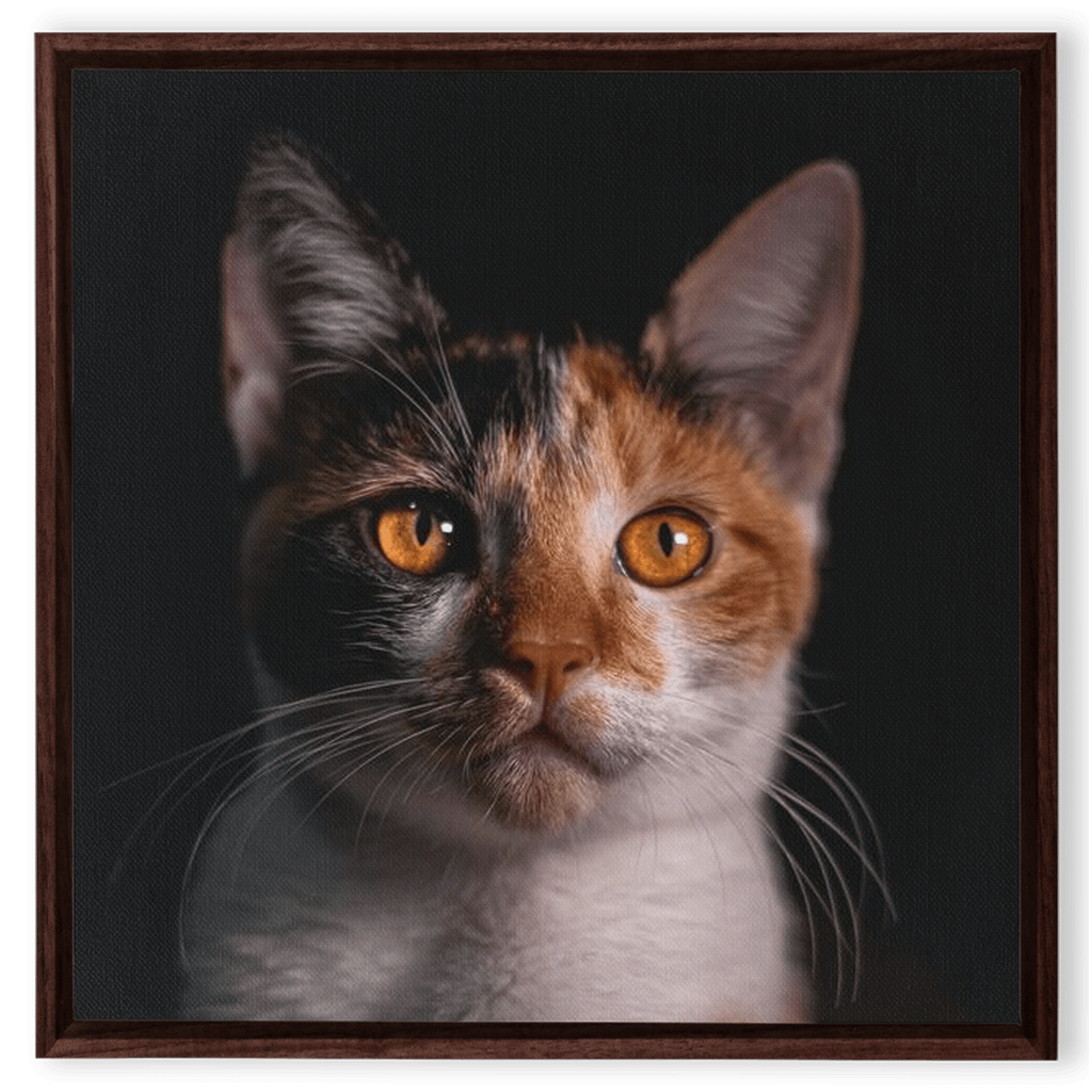 Framed Canvas Wraps - SixCat