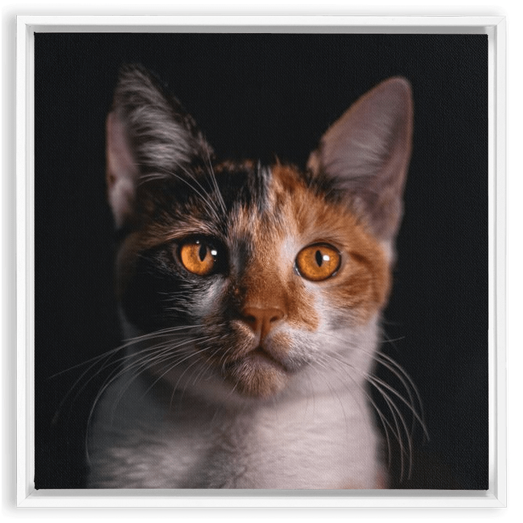Framed Canvas Wraps - SixCat