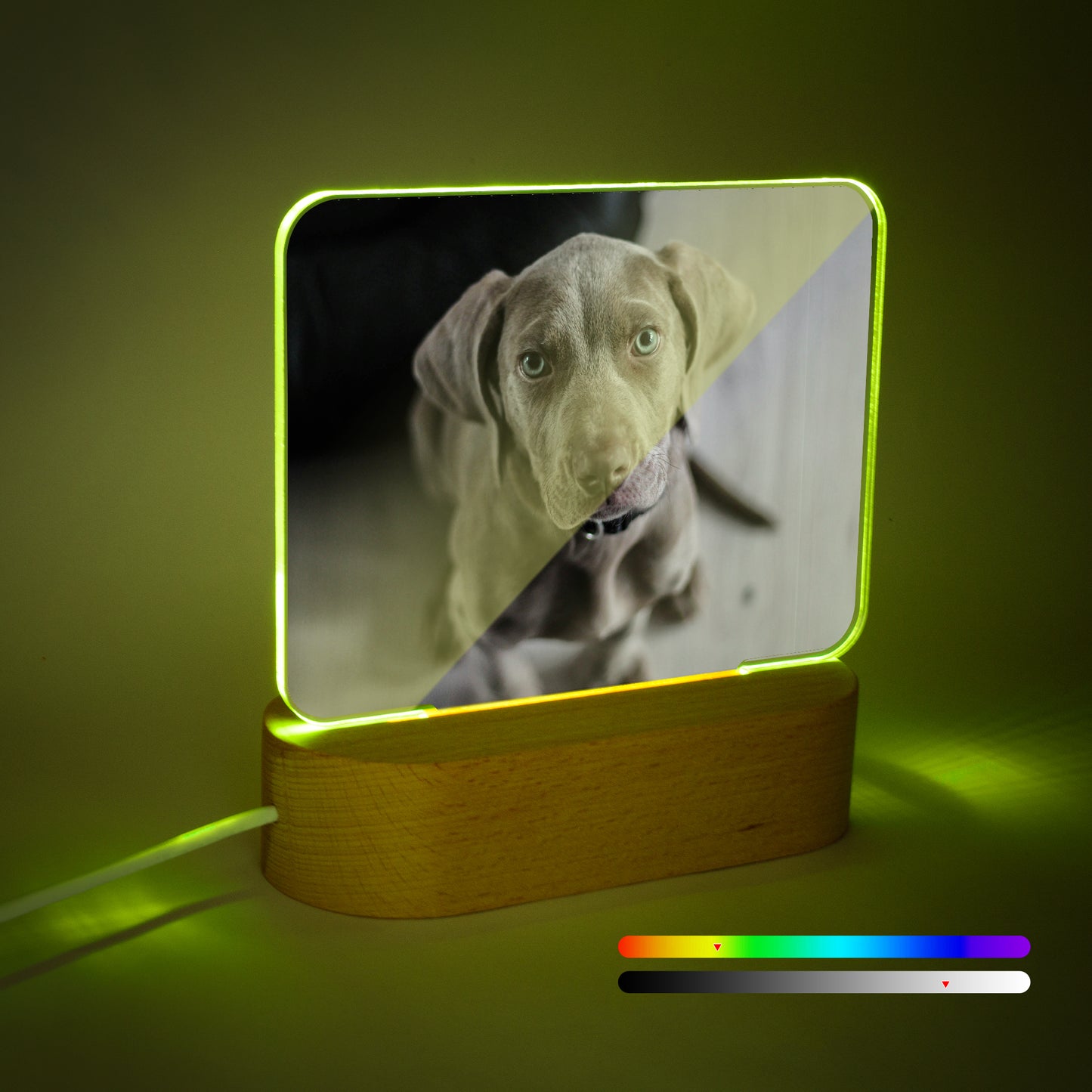 Custom pet photo night light square