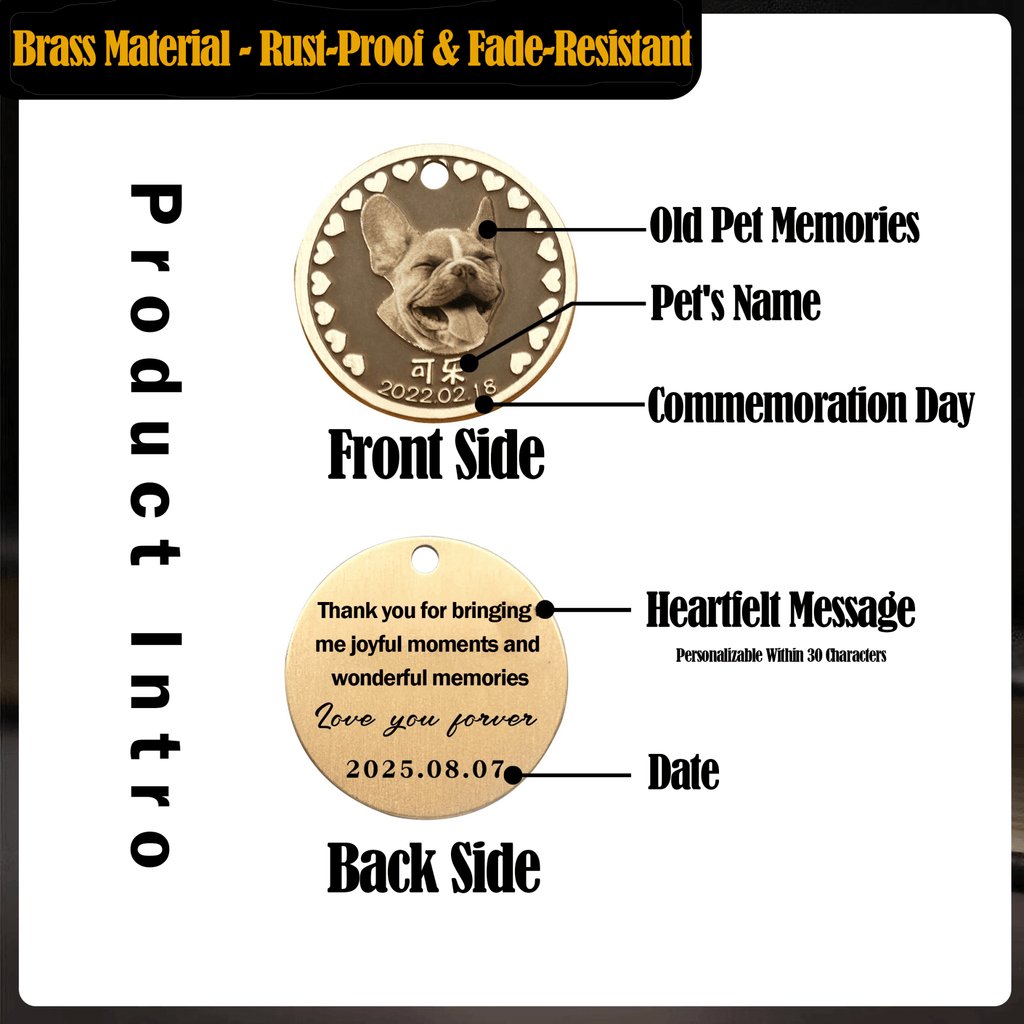 Pet Memorial Coin - SixCat