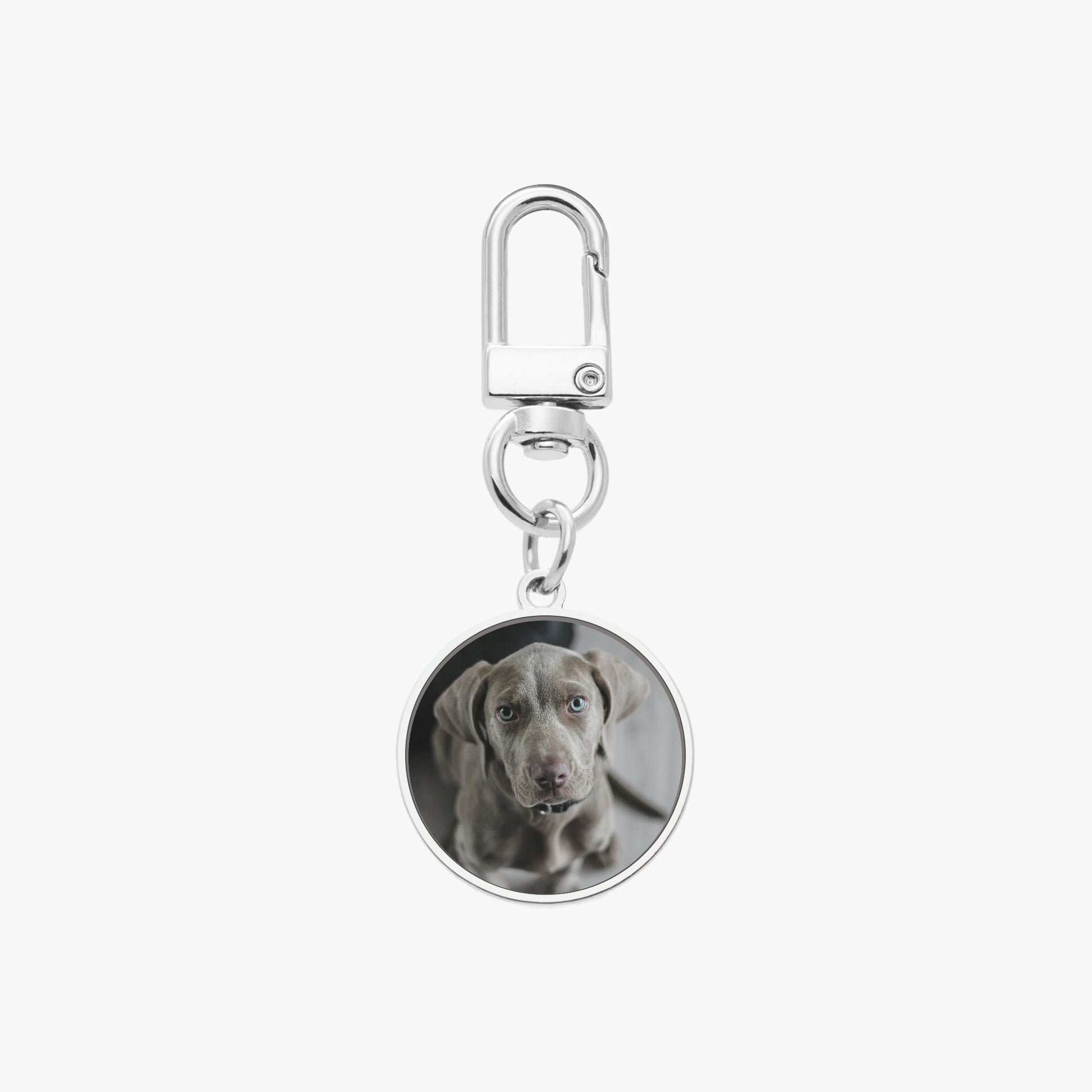 Custom Pet Photo Keychain - Personalized Round Metal Keyring - SixCat