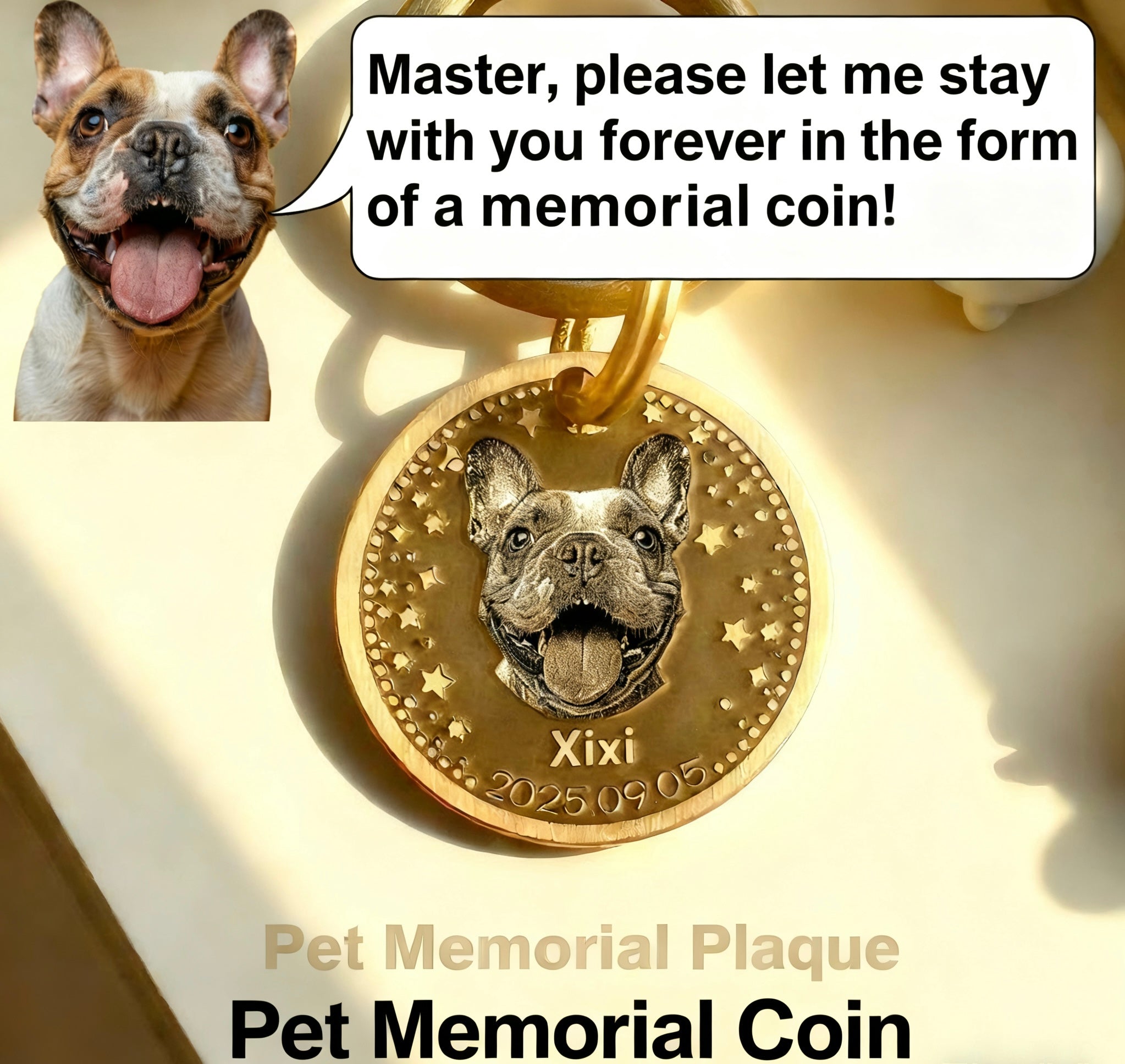 Pet Memorial Coin - SixCat