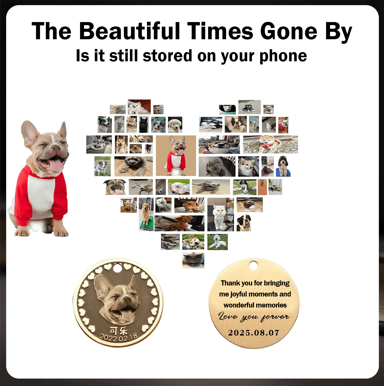 Pet Memorial Coin - SixCat