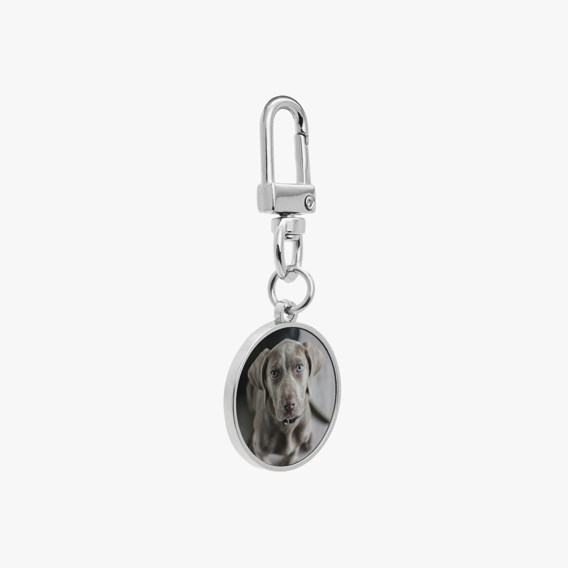 Custom Pet Photo Keychain - Personalized Round Metal Keyring - SixCat
