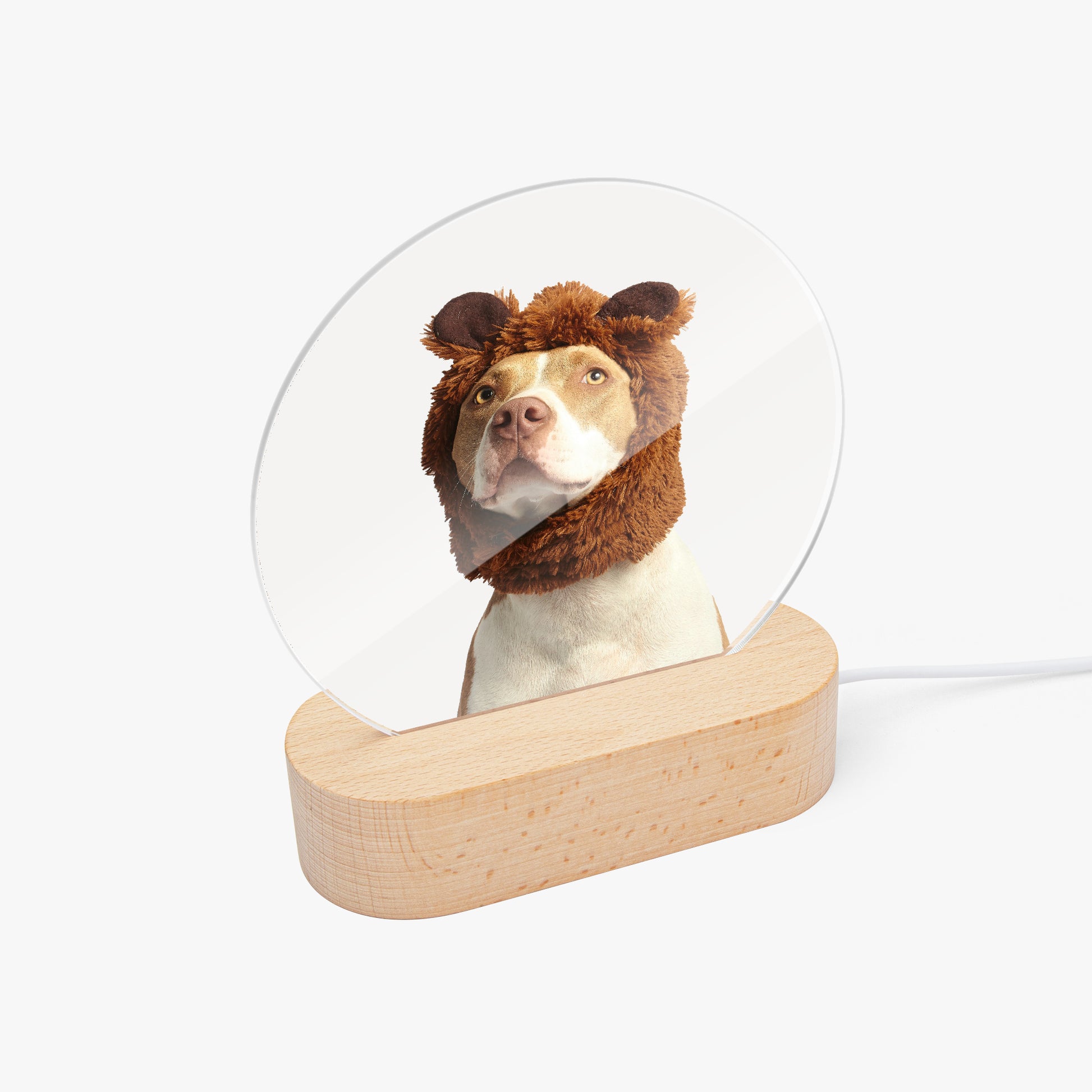 Round Acrylic Ornament - Luminous Base - SixCat