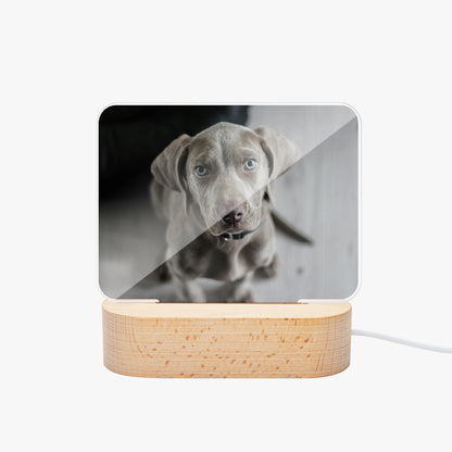 Square acrylic photo light with wood base