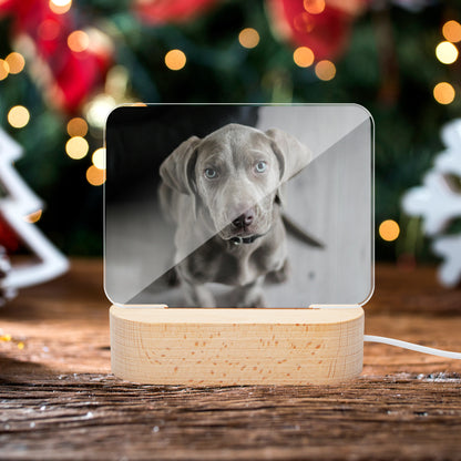 Square Acrylic Ornament - Luminous Base - SixCat