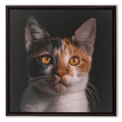Framed Canvas Wraps - SixCat