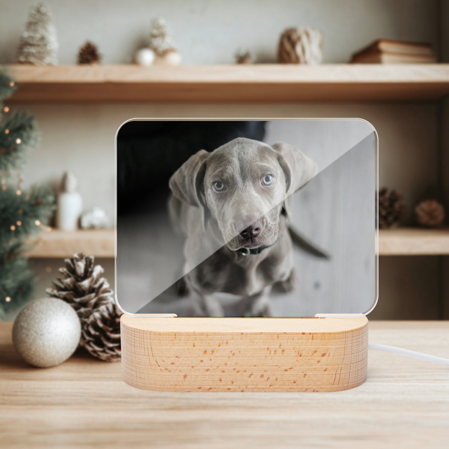 Square Acrylic Ornament - Luminous Base - SixCat