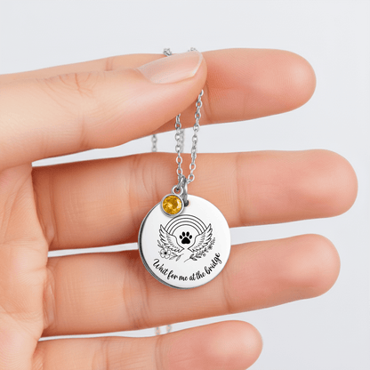 Coin Necklace with Birthstone - SixCat