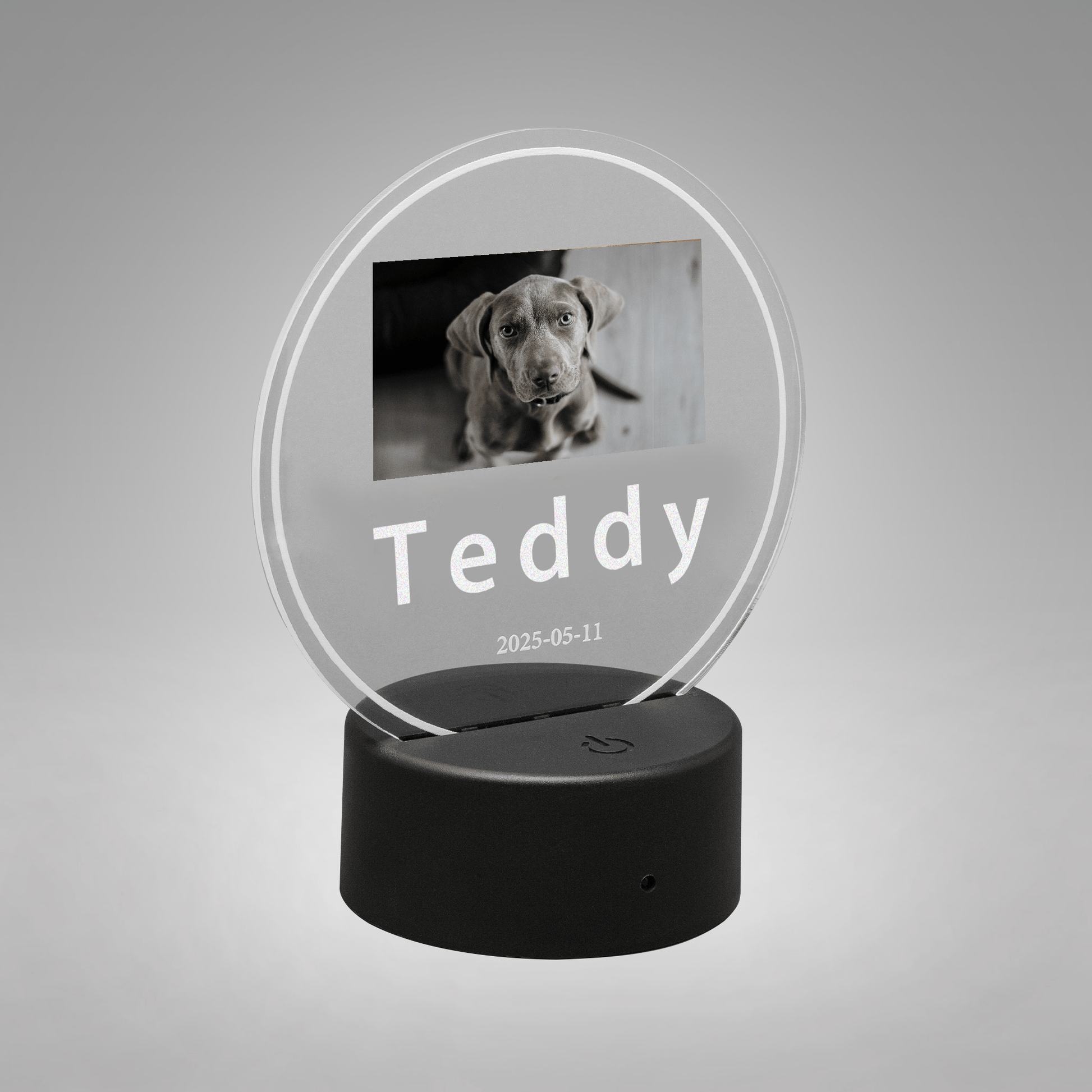 Custom LED night light with dog picture