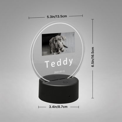 Round Acrylic Night Light - SixCat