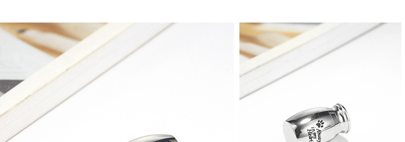 Pet Fur Keepsake Jar - SixCat