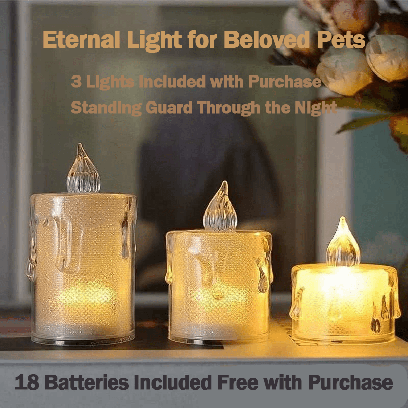 Pet Electronic Eternal Light - SixCat