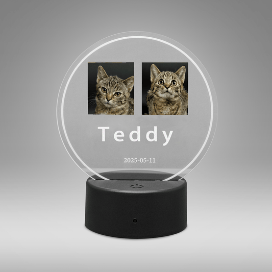 Round acrylic photo plaque with light base